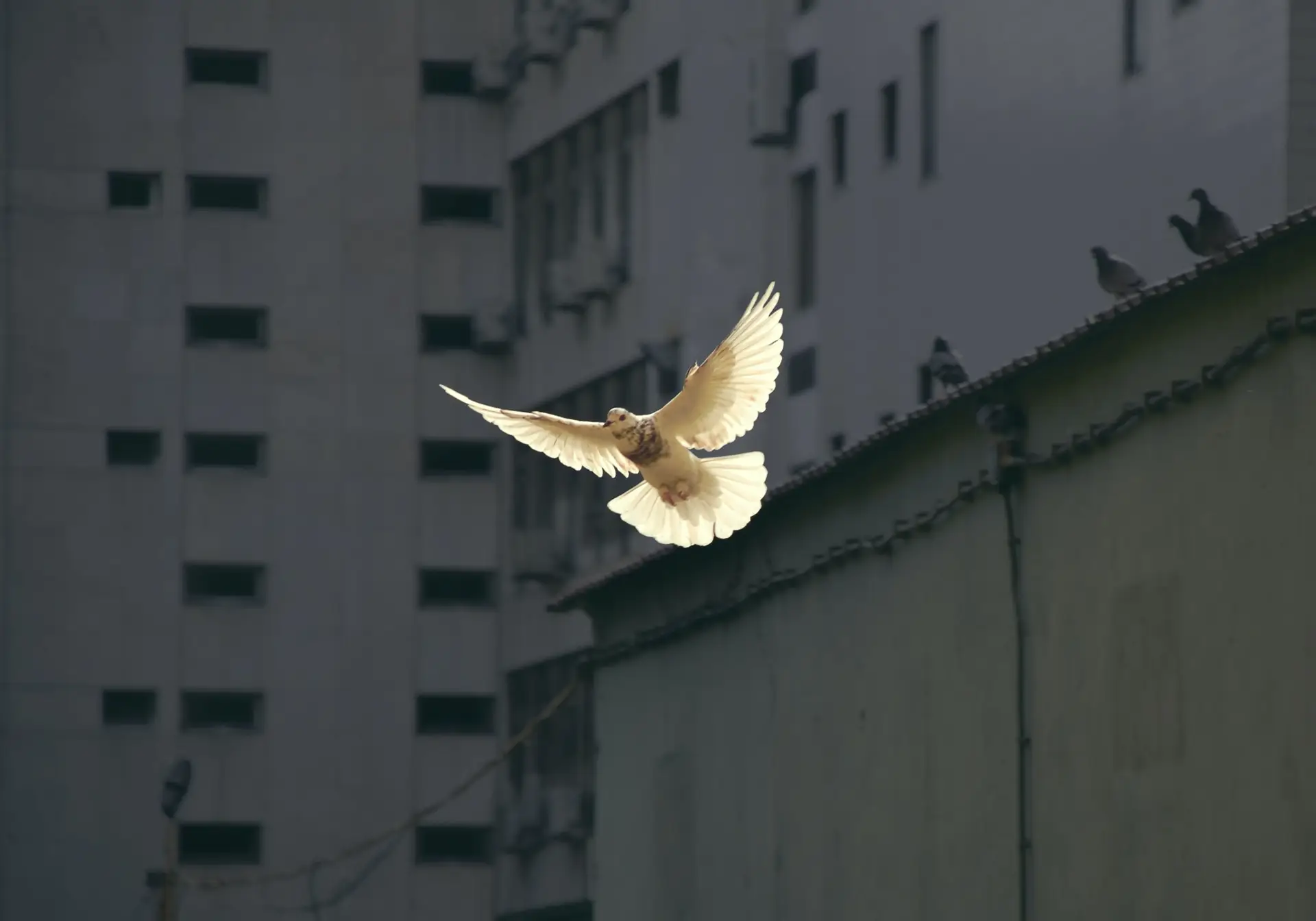Copyright © Sunguk Kim